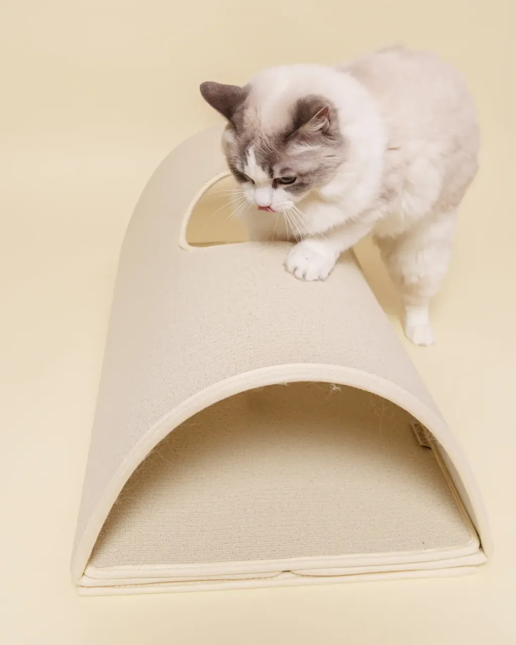 image_A0C1F2BC-DD26-44EB-A46D-9584E462E7A8_1771913415