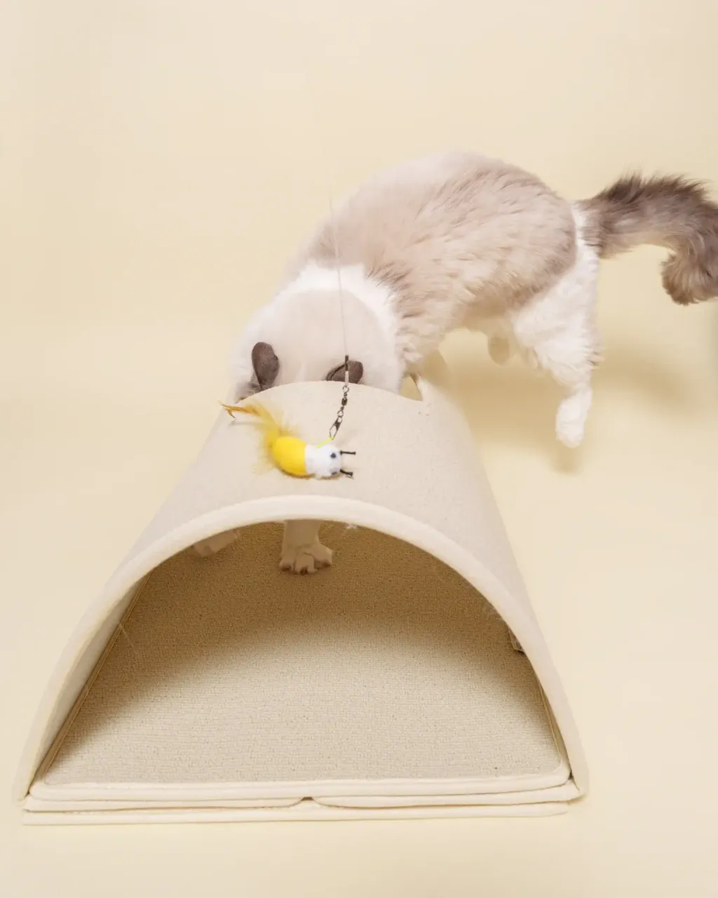 image_0103CDCC-16A2-41A8-A591-DE8AC6977ABB_1771913415