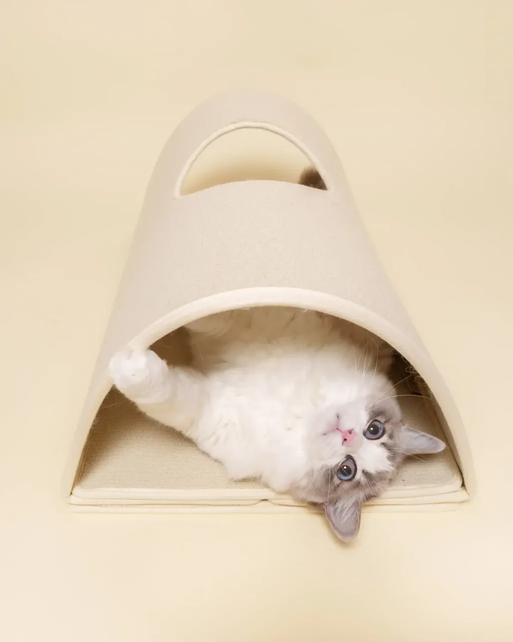 image_7A525A25-0517-4433-9AEB-02F93052314A_1771913415