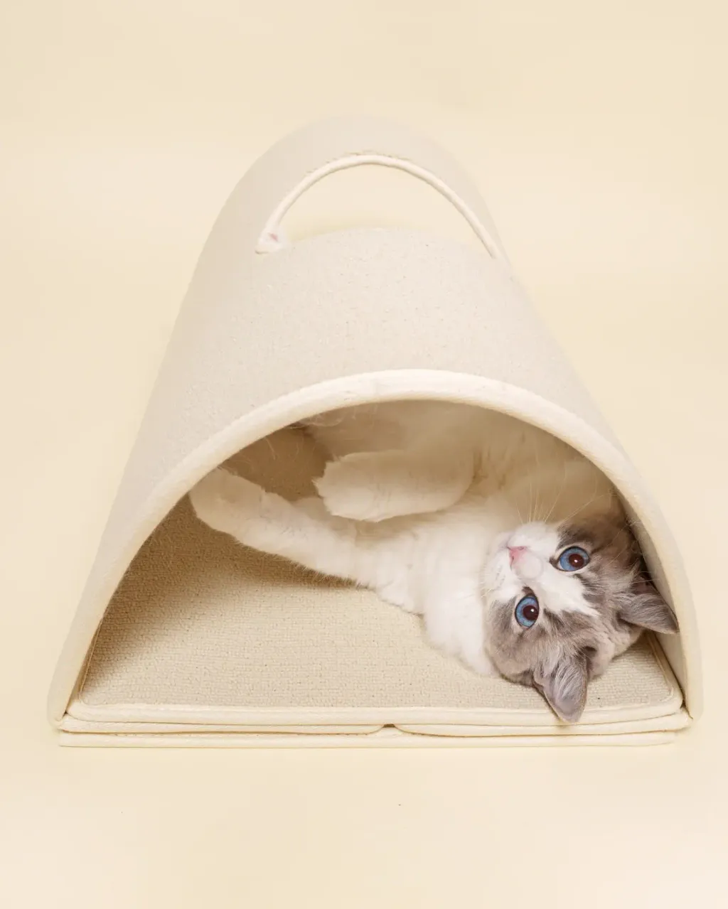 image_7D9334DE-8276-41FA-B441-281A13BFB00C_1771913415