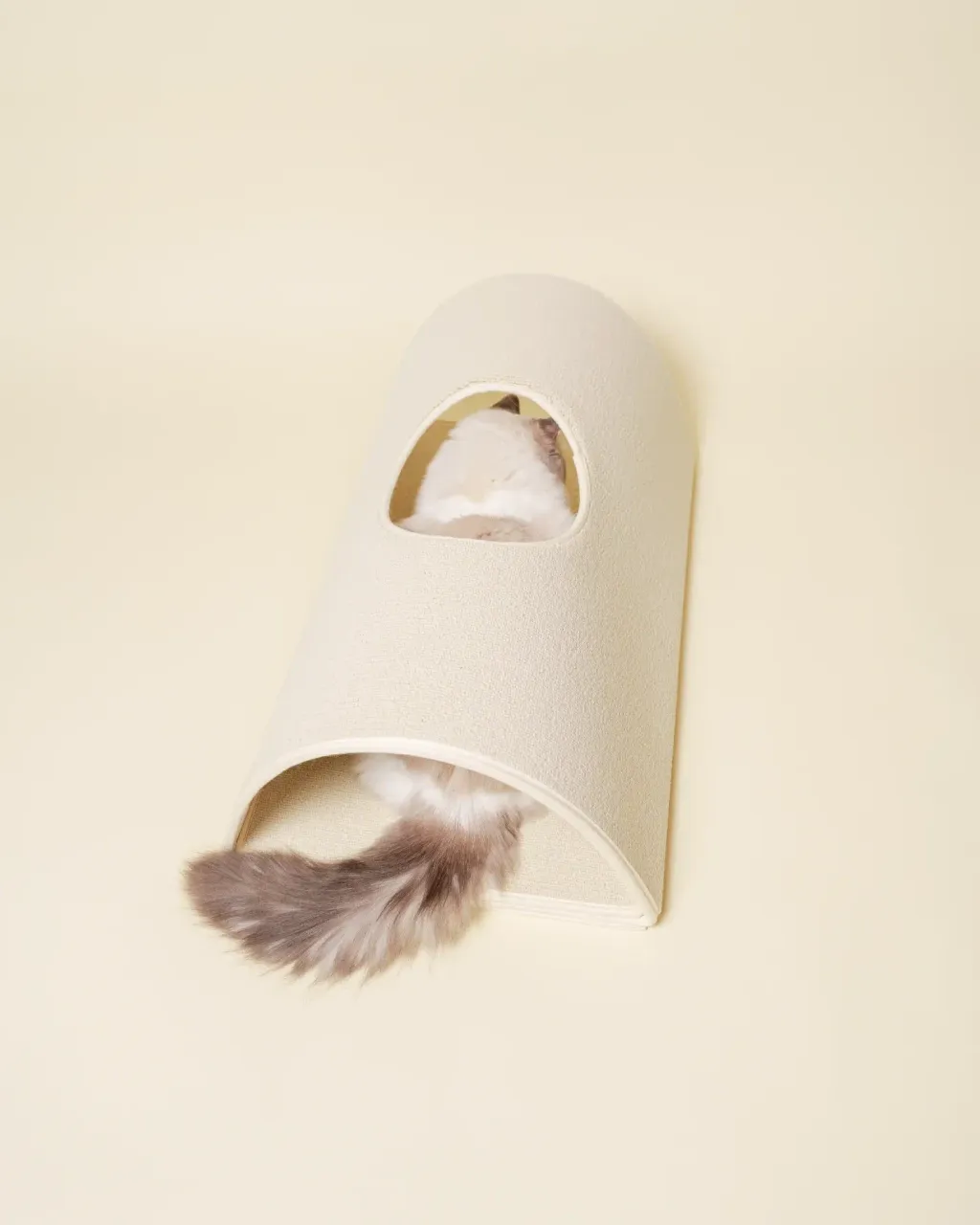 image_65481C3F-D7D1-423B-ABBD-172AAE23FBF7_1771913415