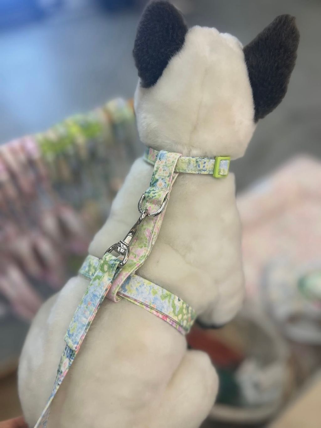 image_D06B9809-481B-4D98-9705-093642E5E489_1772336322