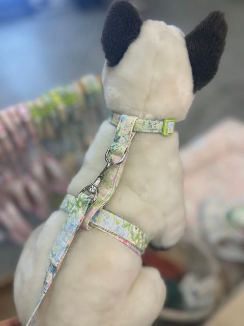 image_D06B9809-481B-4D98-9705-093642E5E489_1772336322