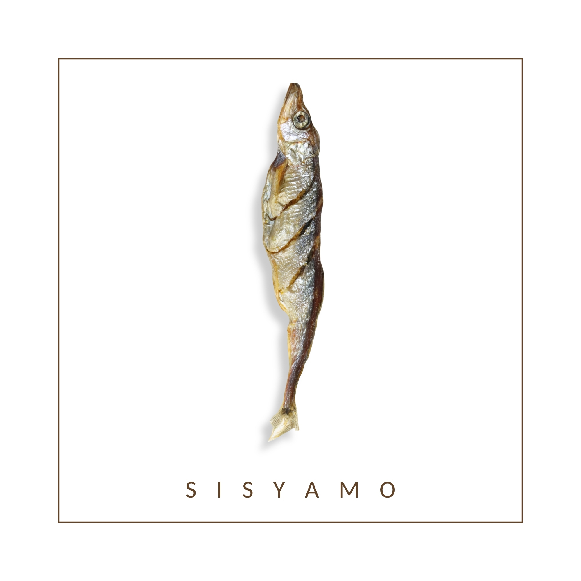 海派柳葉魚 整尾柳葉魚｜貓狗零食