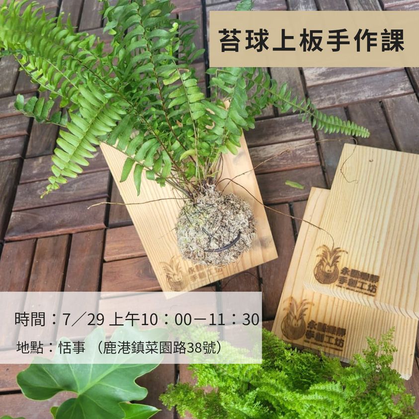 植物上板