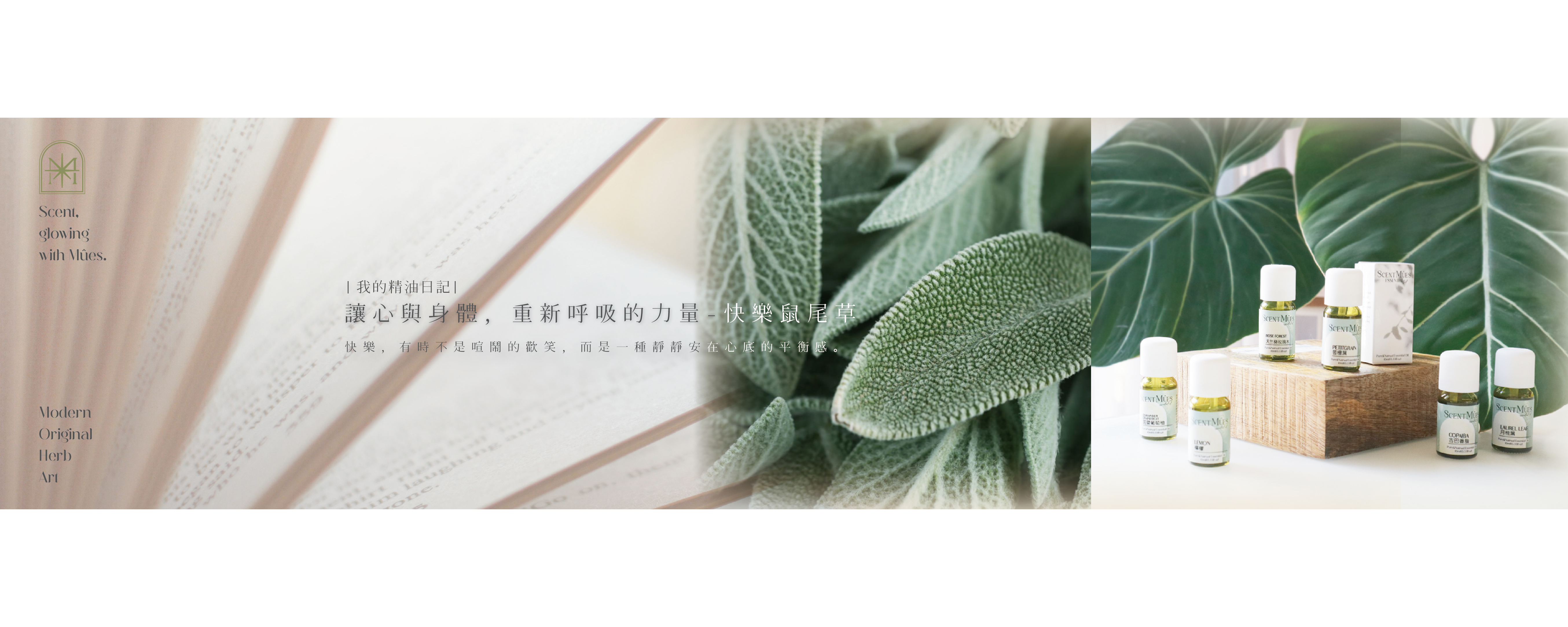 讓心與身體 | 重新呼吸的力量-快樂鼠尾草精油