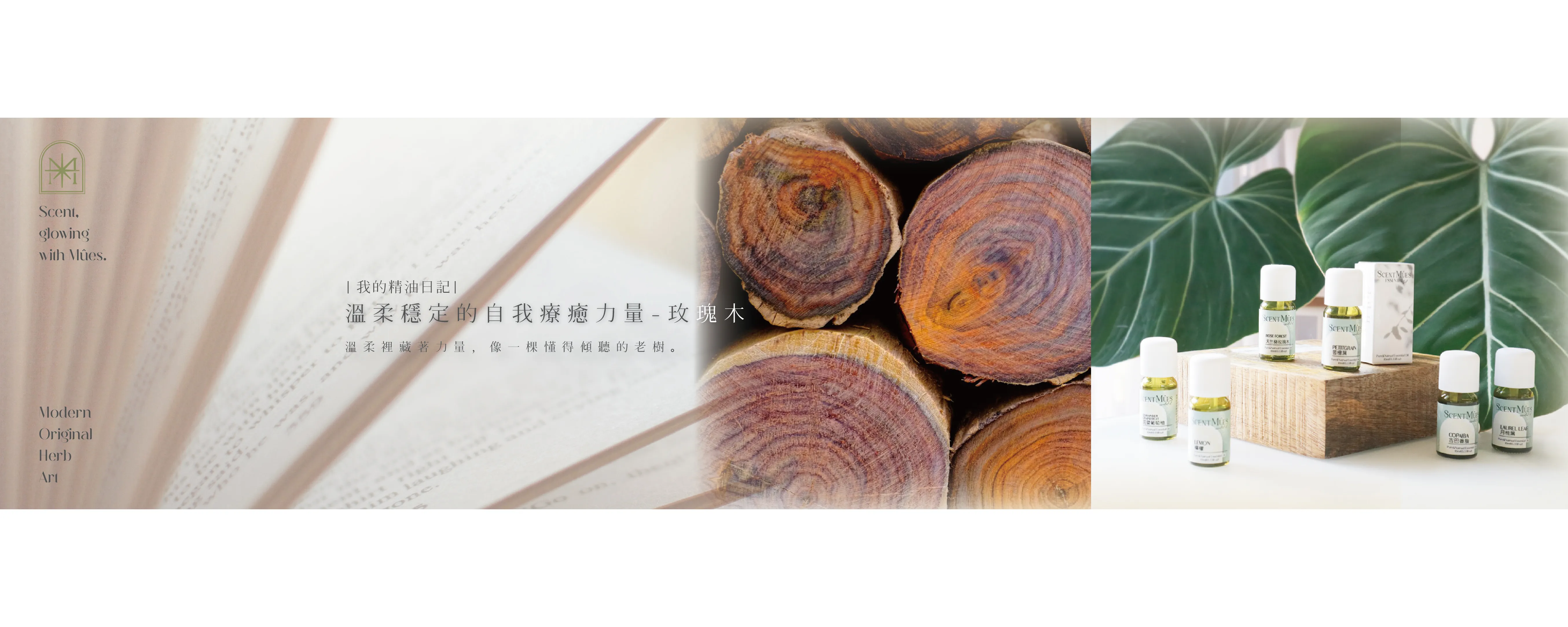 溫柔穩定的自我療癒力量-玫瑰木精油