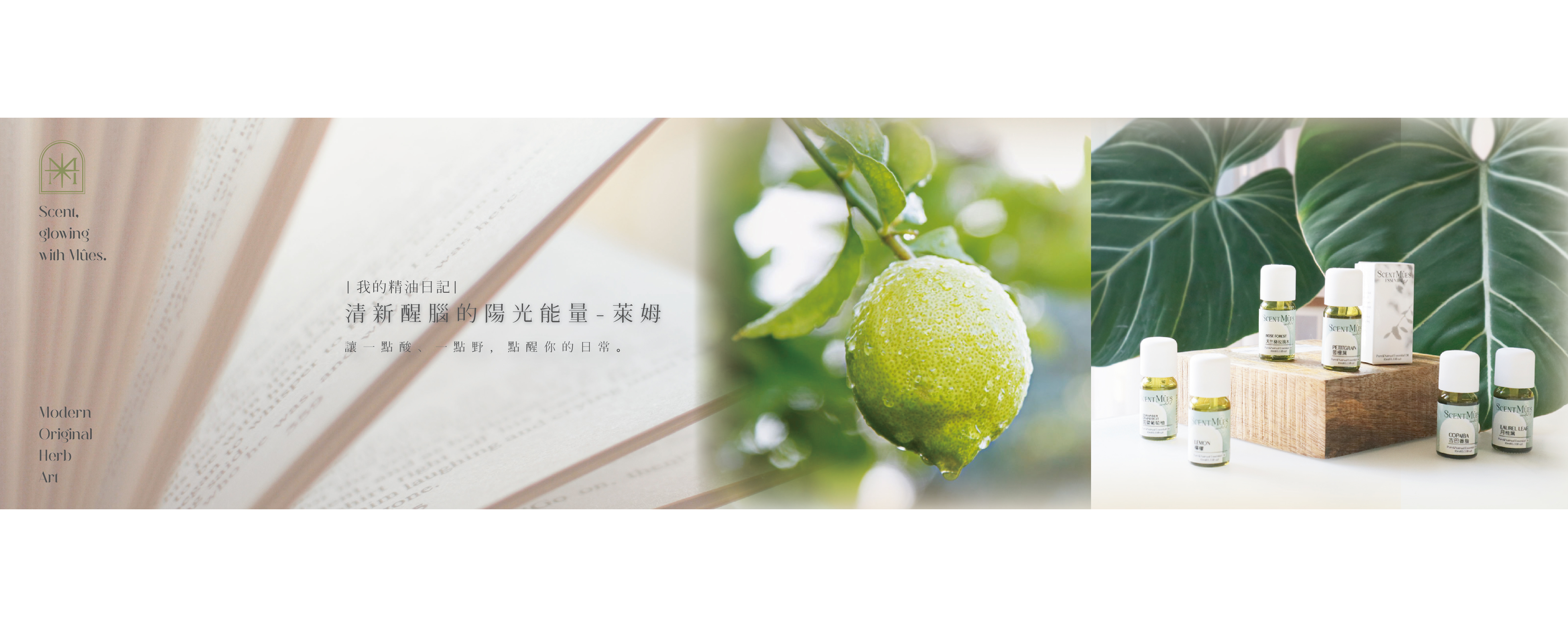 清新醒腦的陽光能量-萊姆精油