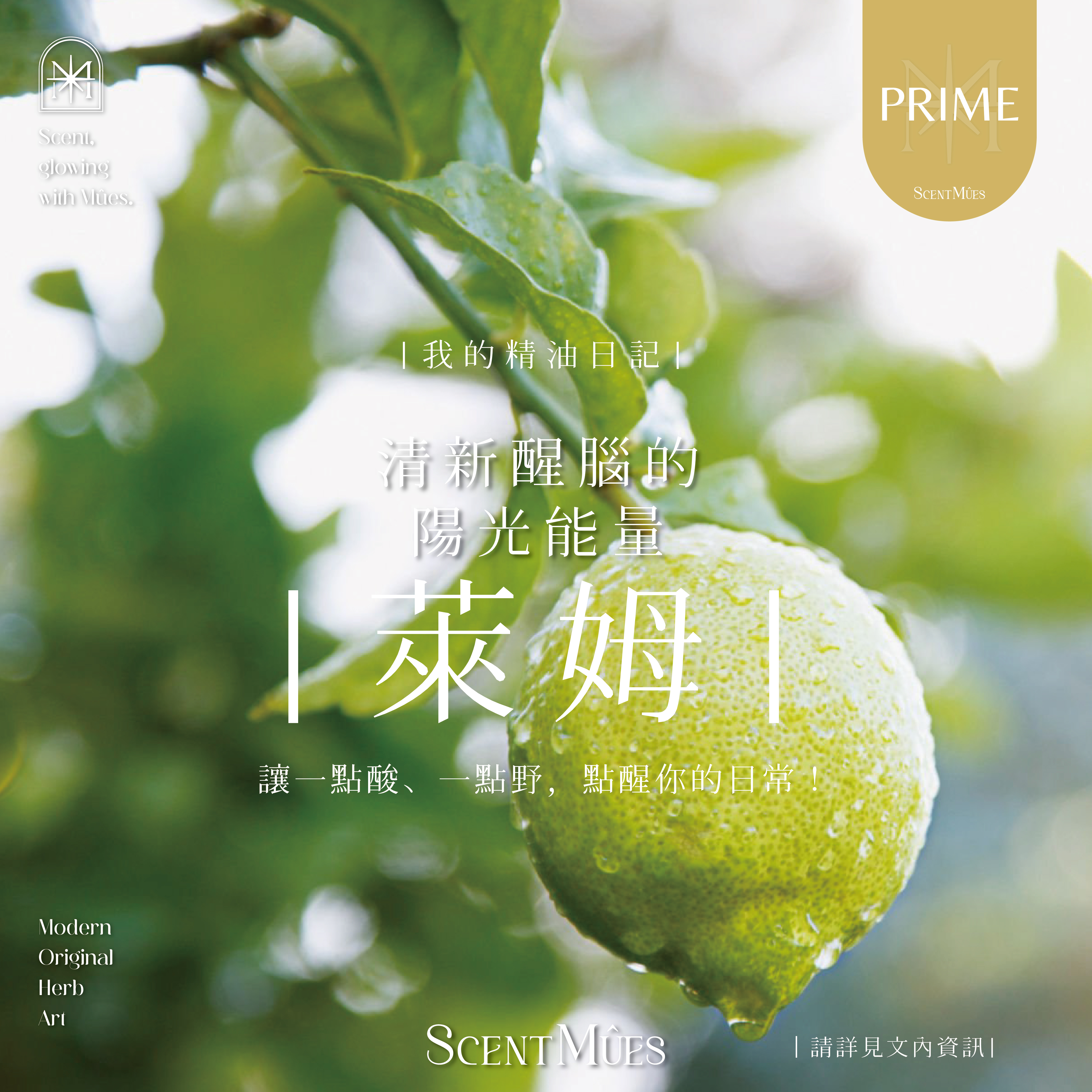 我的精油日記_萊姆-1000X1000-01