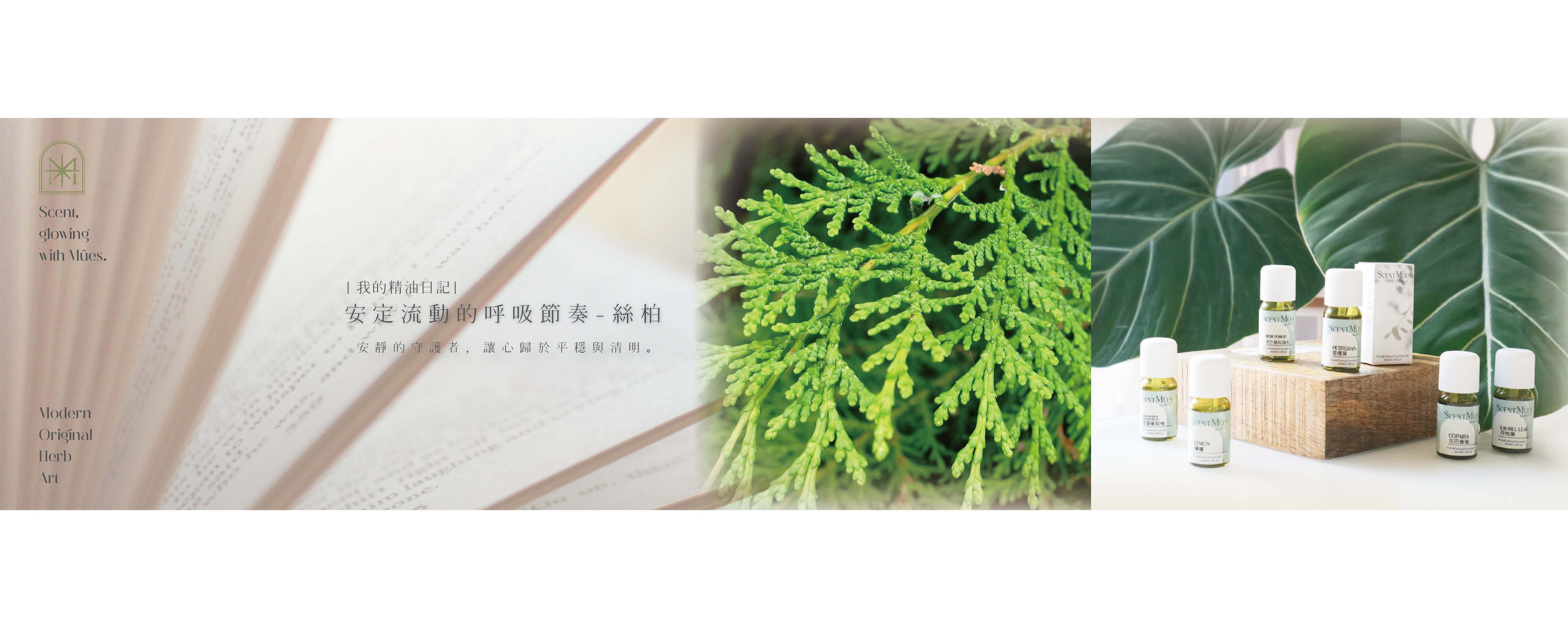 安定流動的呼吸節奏-絲柏精油