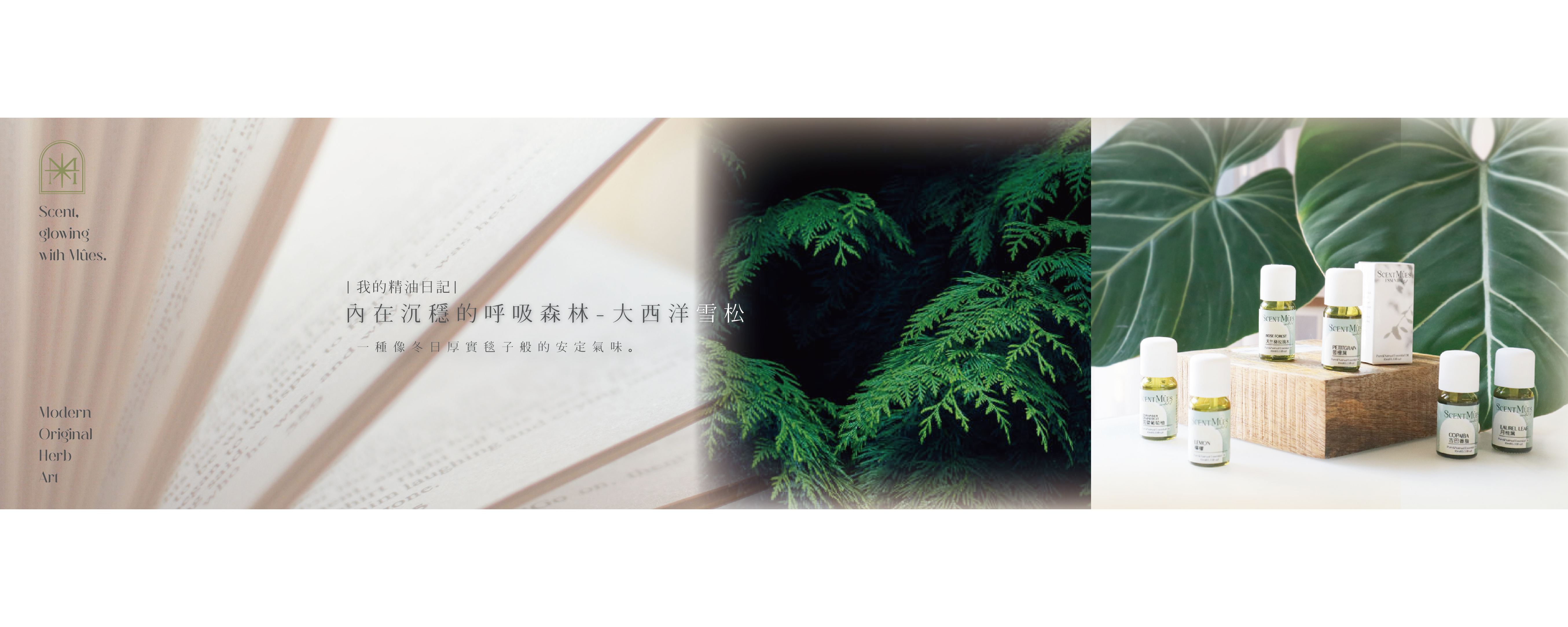 內在沉穩的呼吸森林-大西洋雪松精油