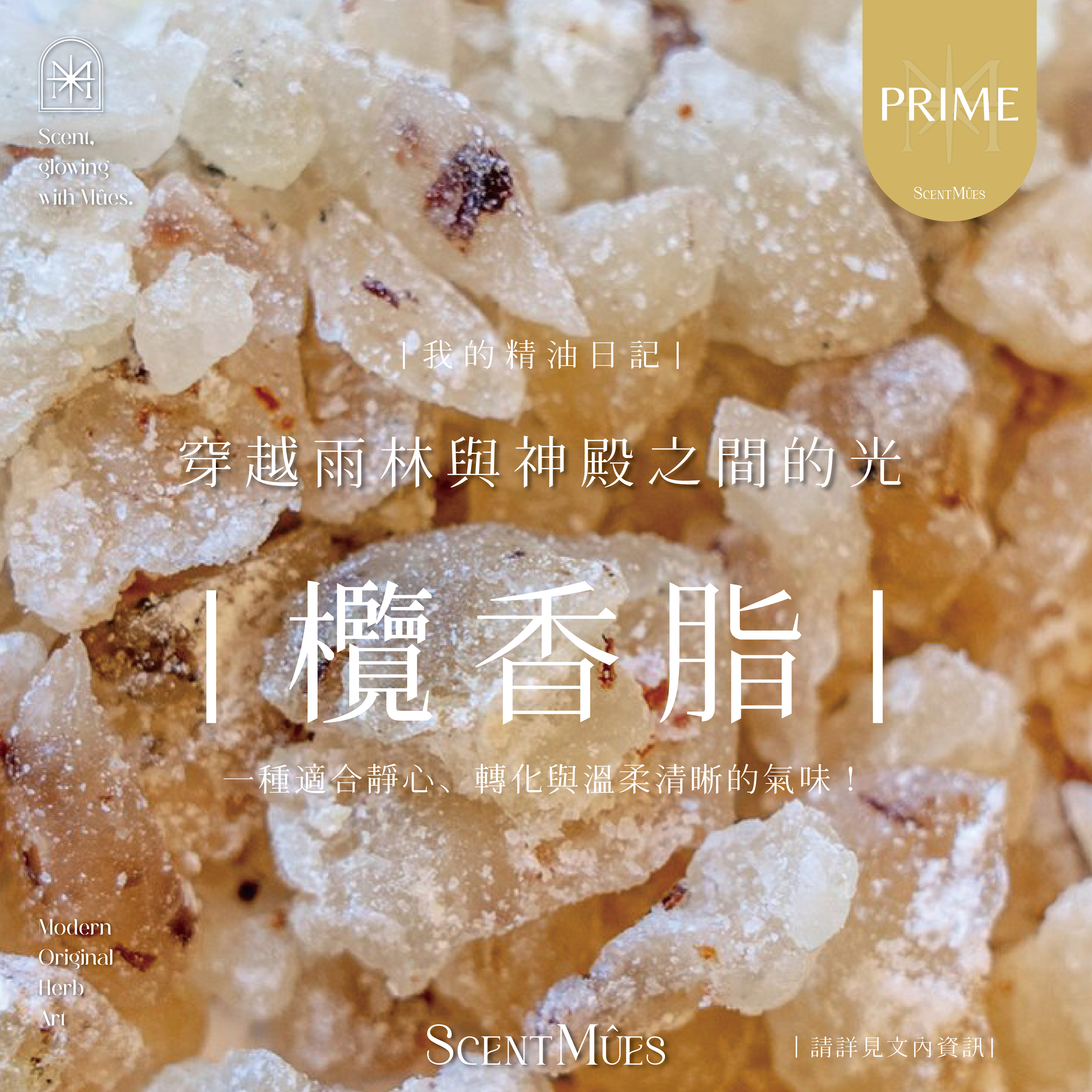 我的精油日記_欖香脂-1000X1000-01