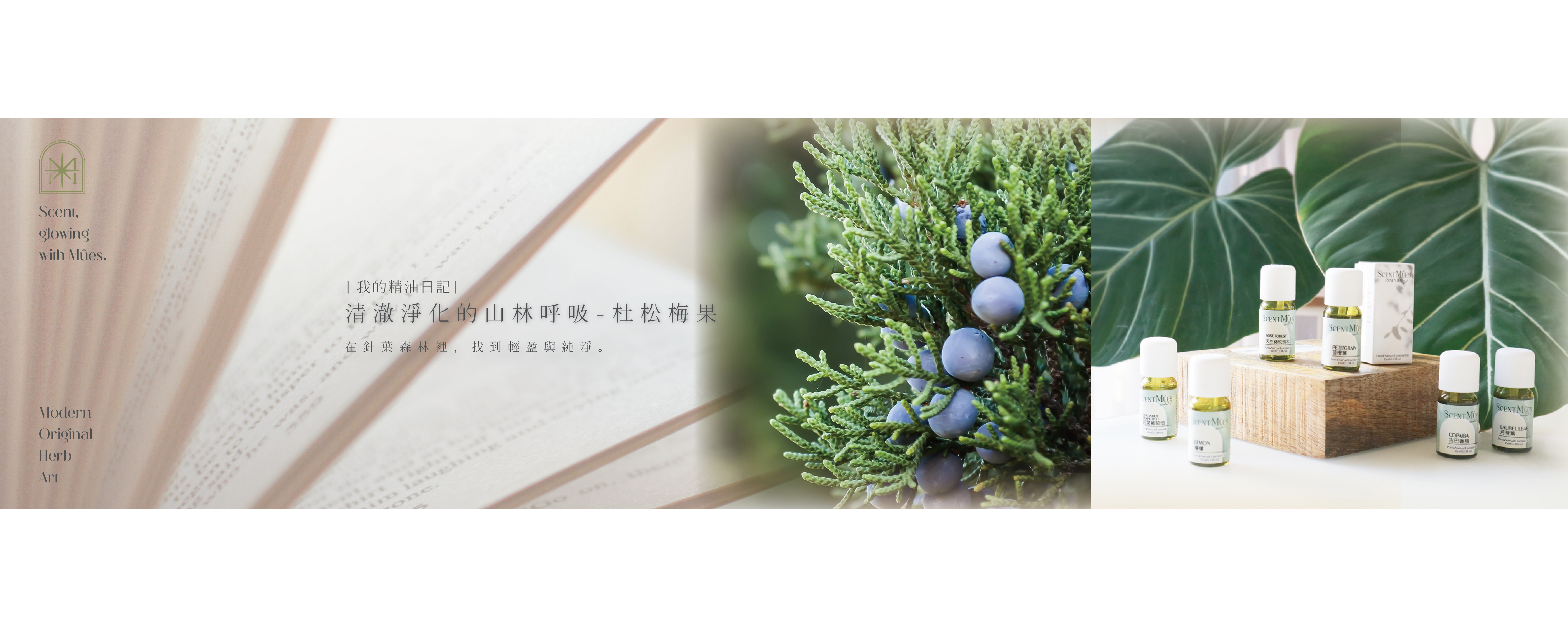 清澈淨化的山林呼吸-杜松梅果精油