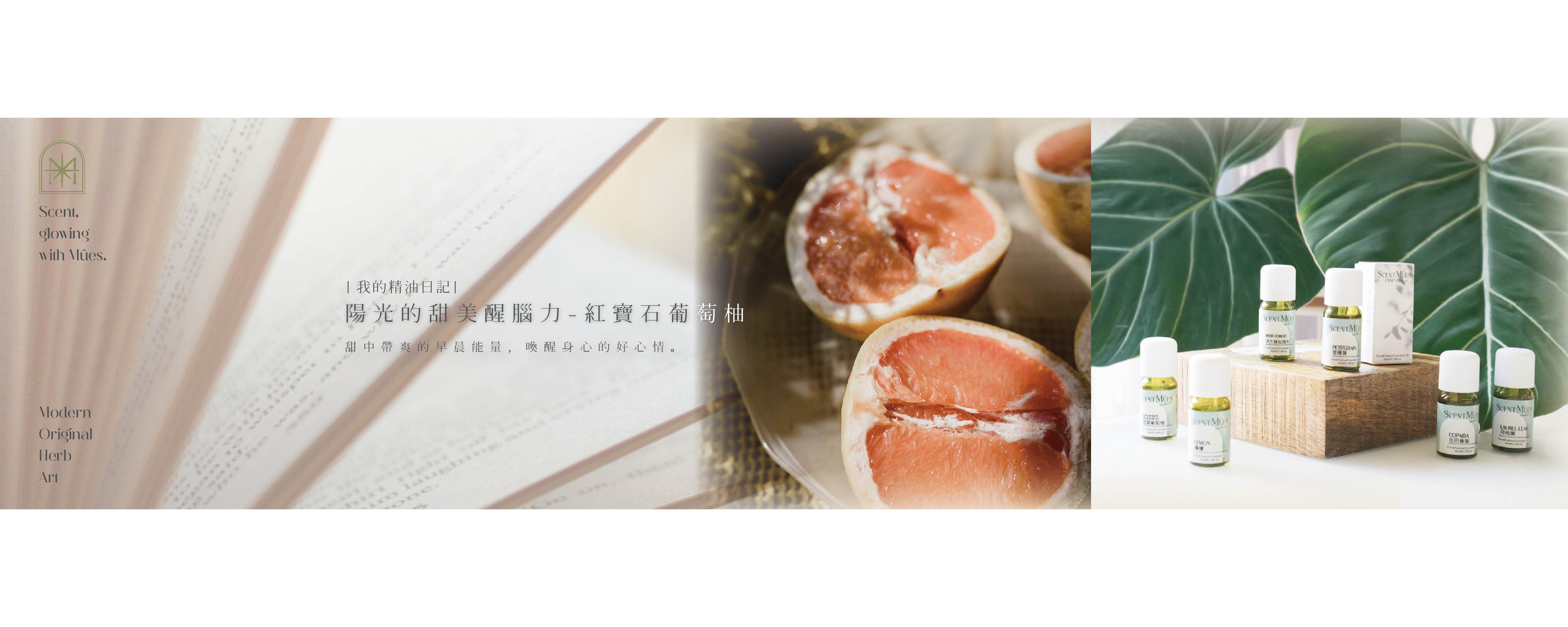 陽光的甜美醒腦力-紅寶石葡萄柚精油