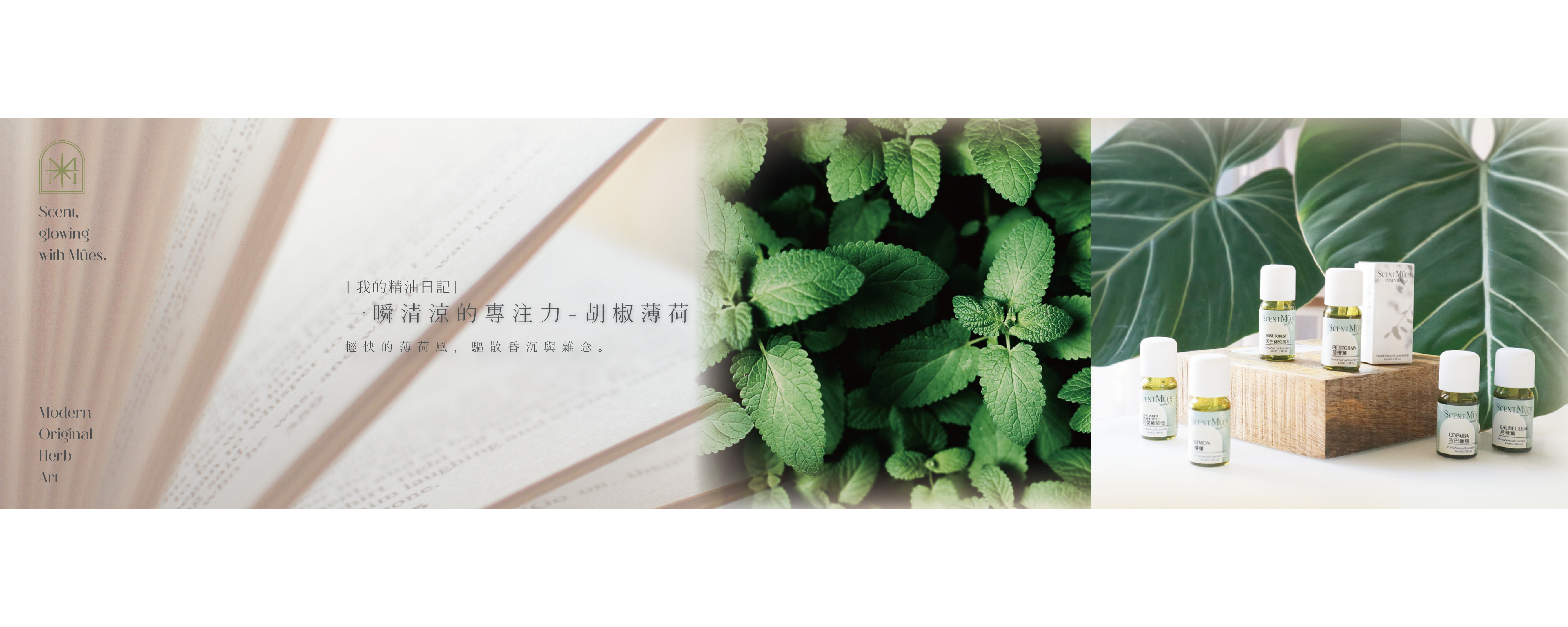 一瞬清涼的專注力-胡椒薄荷精油