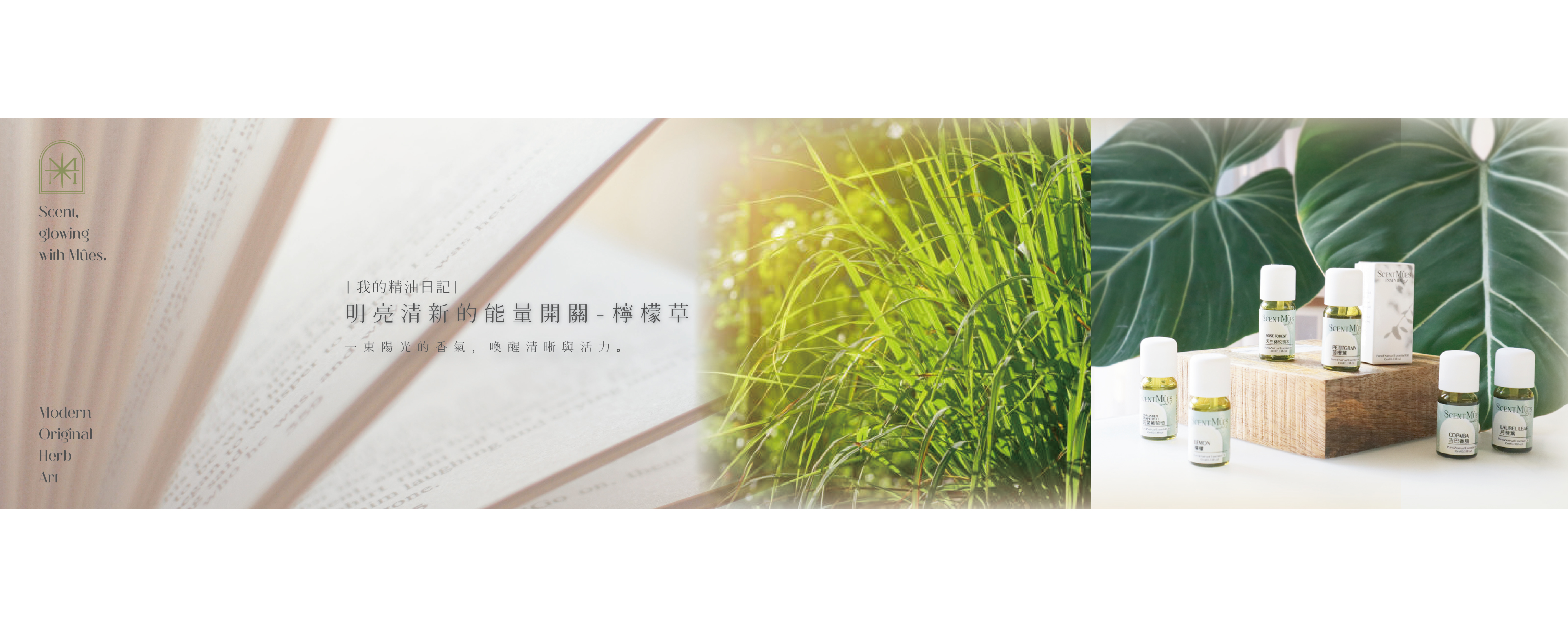 明亮清新的能量開關-檸檬草精油