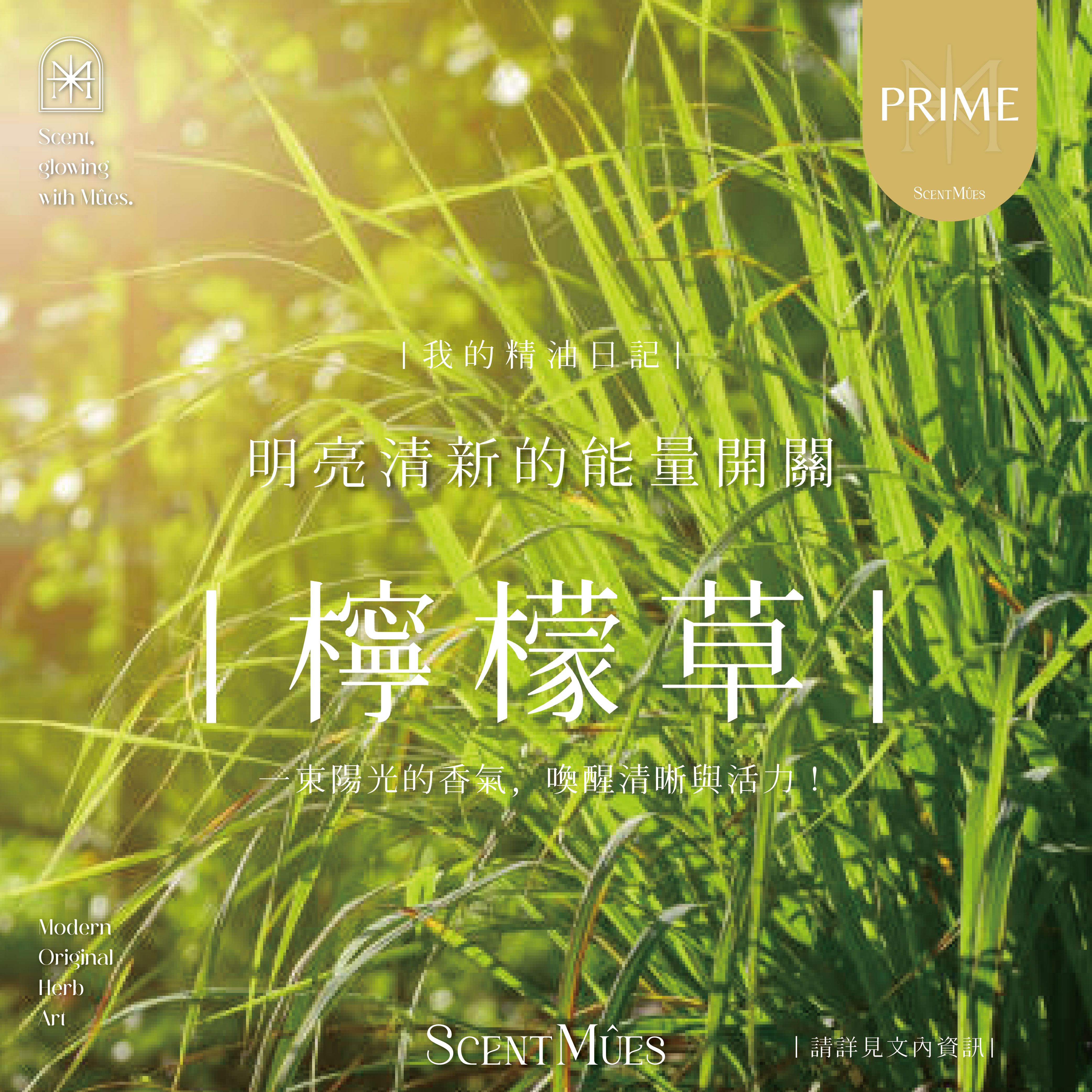 我的精油日記_檸檬草-1000X1000-01