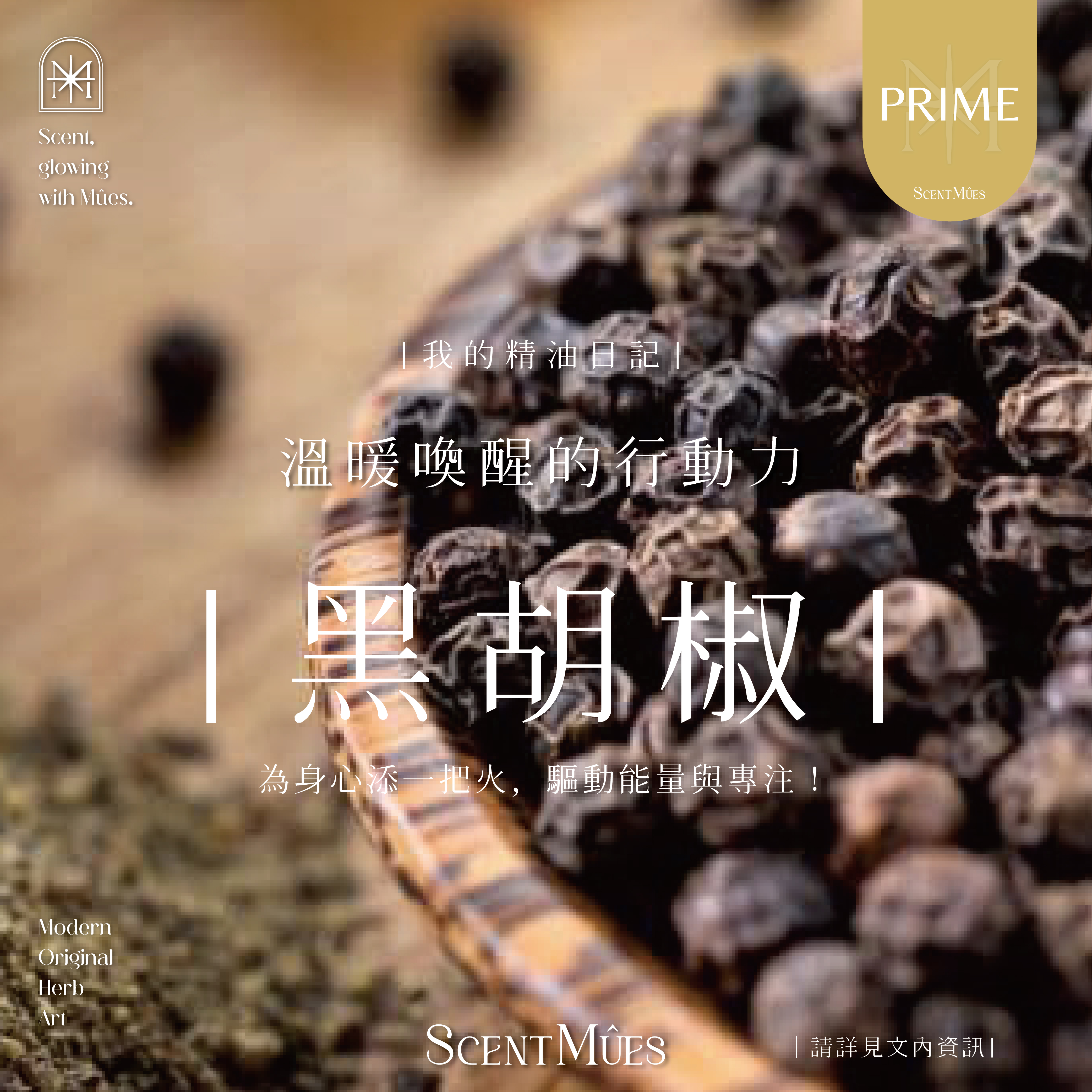 我的精油日記_黑胡椒-1000X1000-01