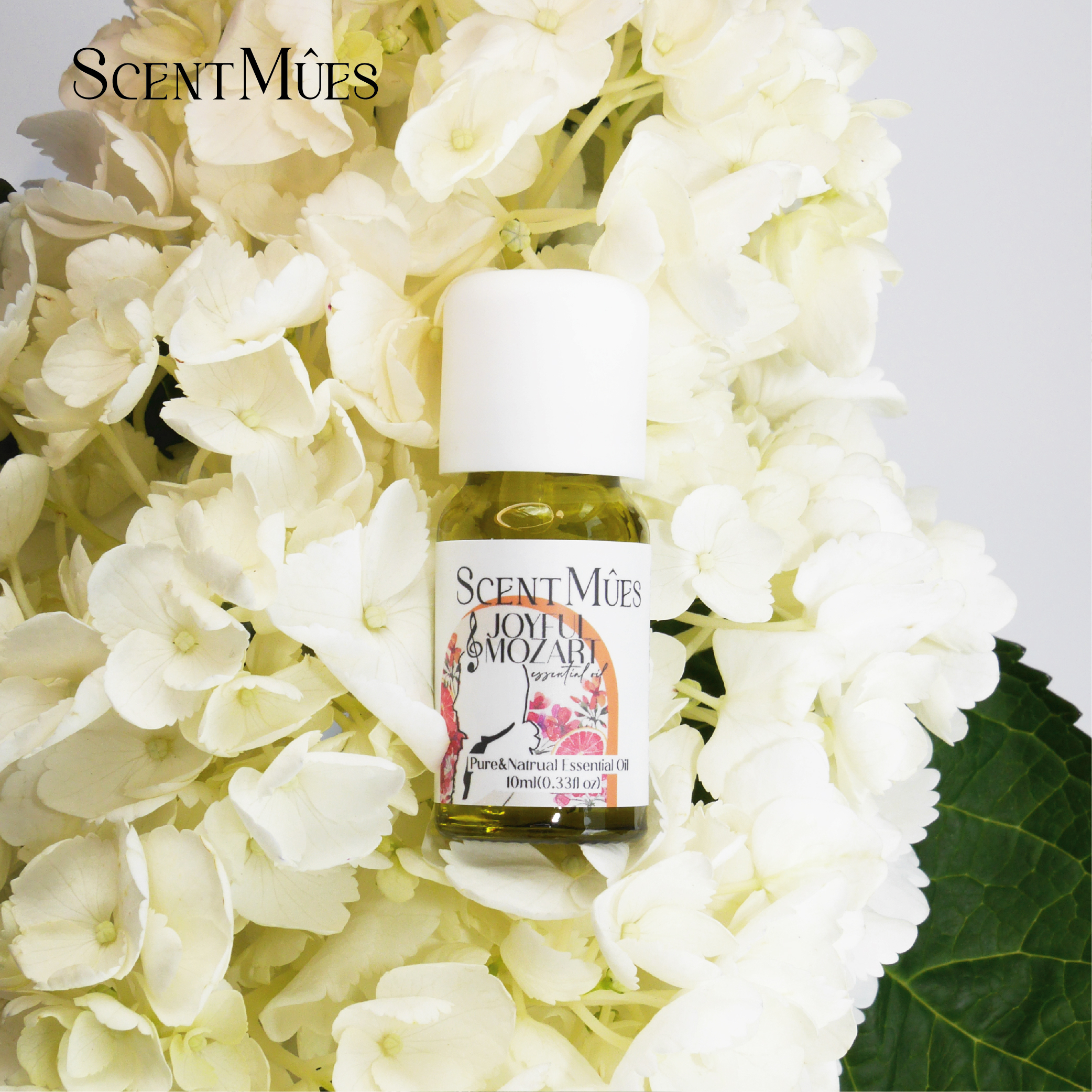 4711370441091(莫札特)-01