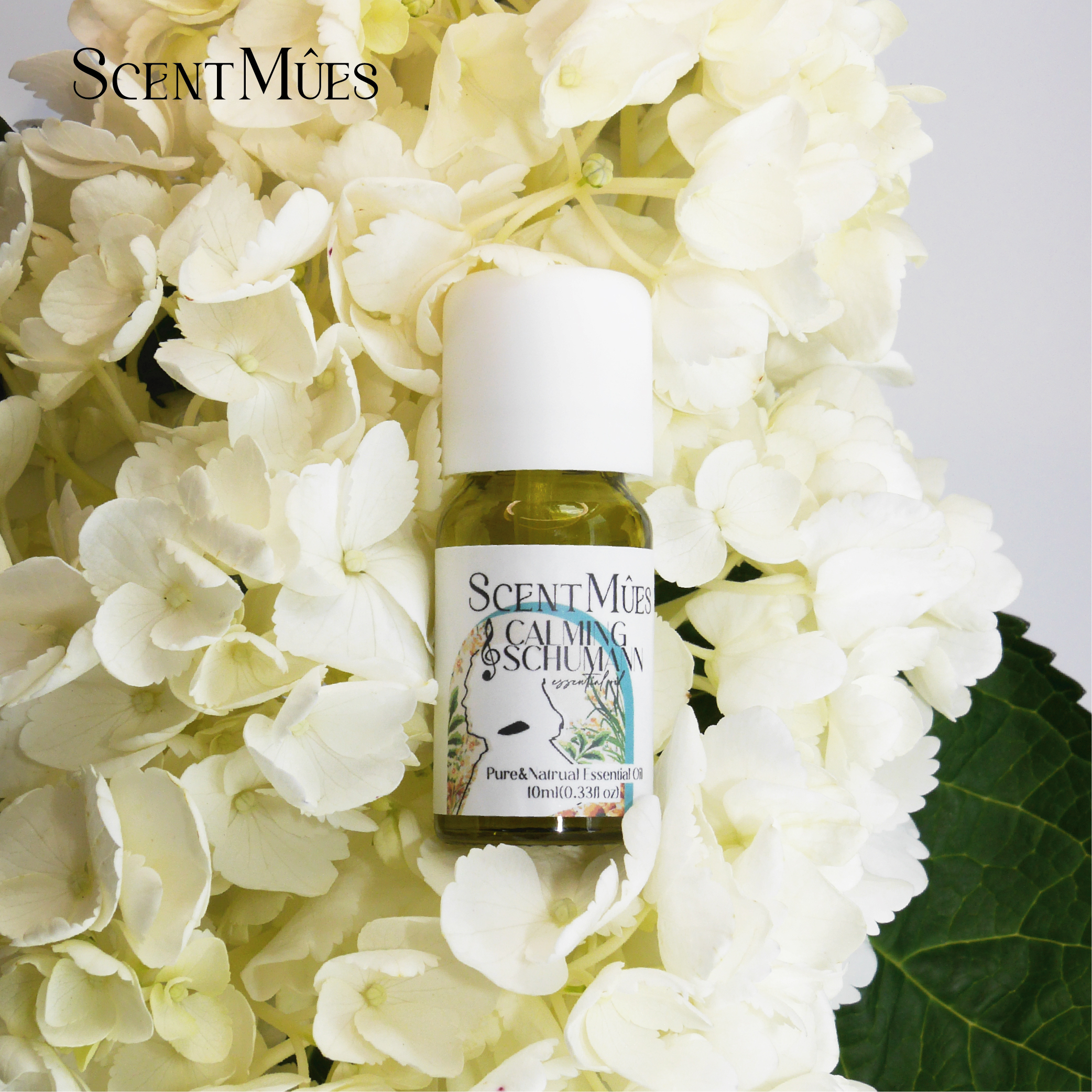 4711370441077(沉靜舒曼)-01