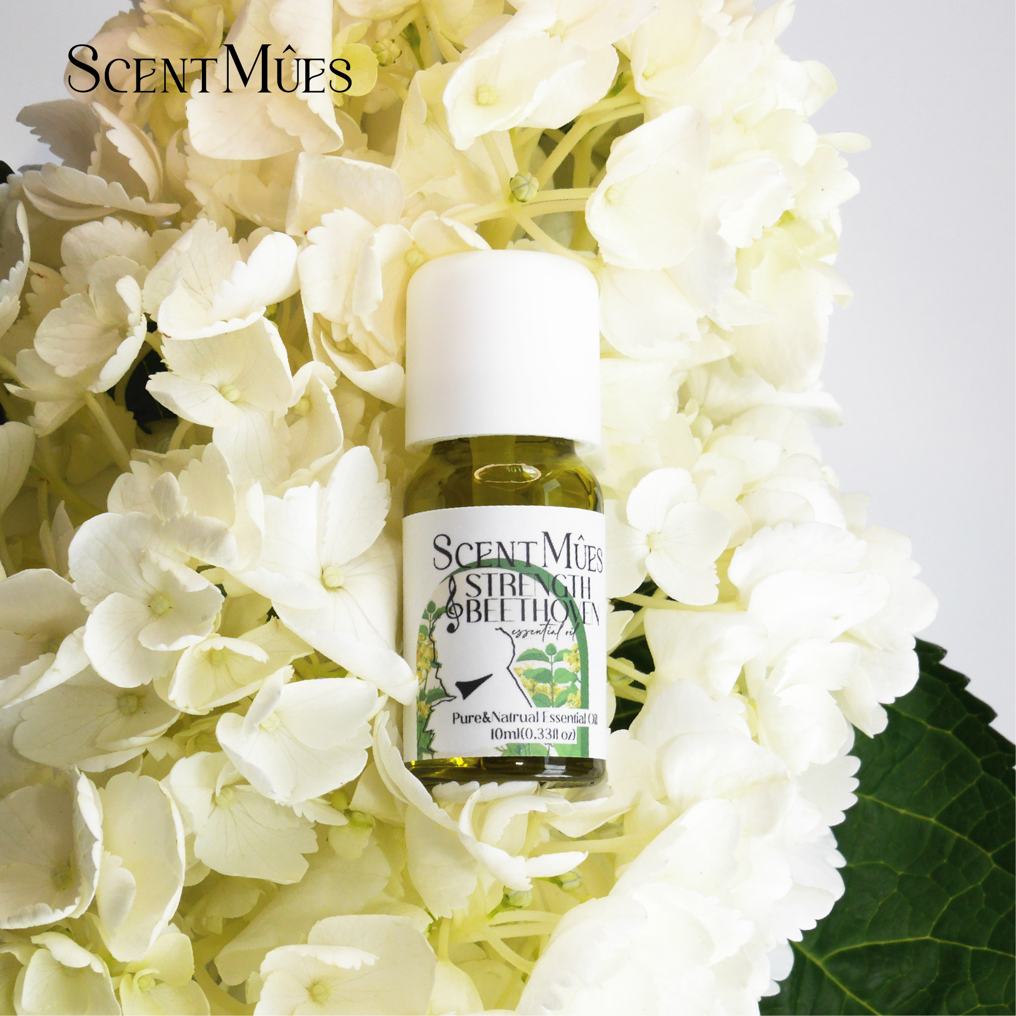 4711370441084(力量貝多芬)-01