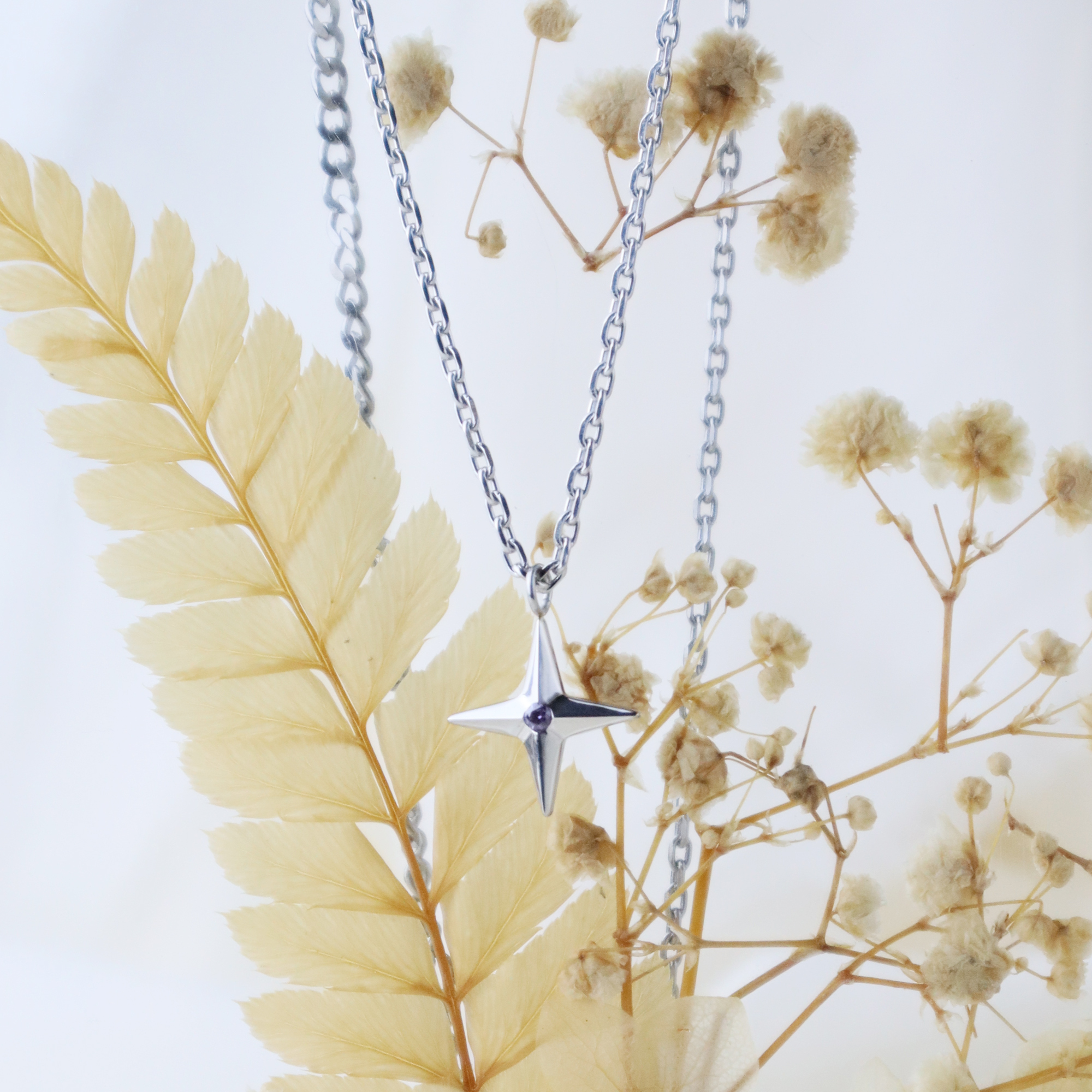 十字星珍珠_花草單品情境_2000x2000