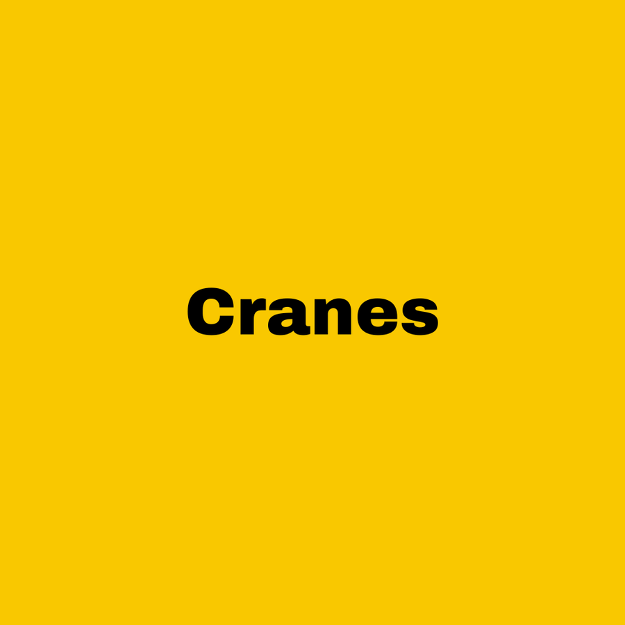 Inconst | Categories - 