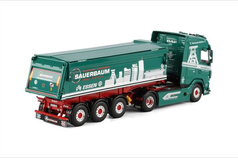 sauerbaum-daf-xg-4x2-non-steering-tippe (1)