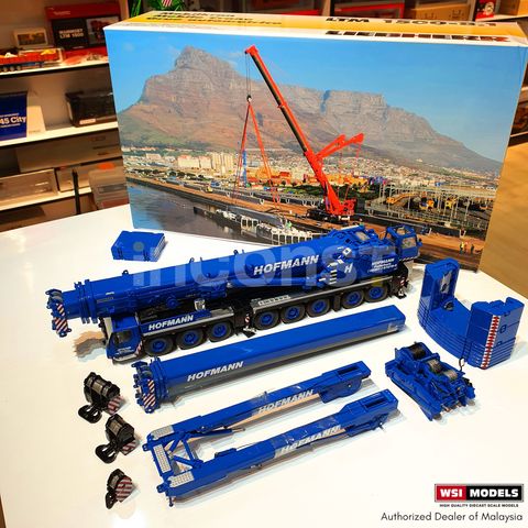 HOFMANN; LIEBHERR LTM 1500-8.1 – Inconst