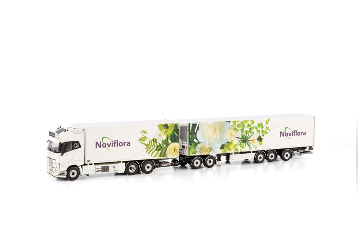 jz-transport-noviflora-volvo-fh05-globe