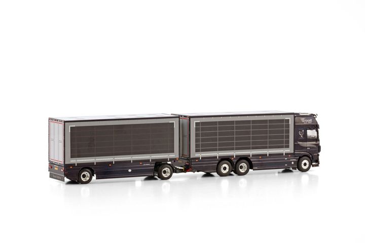 troost-pluimvee-transport-daf-xf-6x2-t (1)