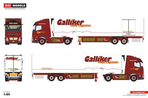 galliker-volvo-fh-aero-globetrotter-ele (1)