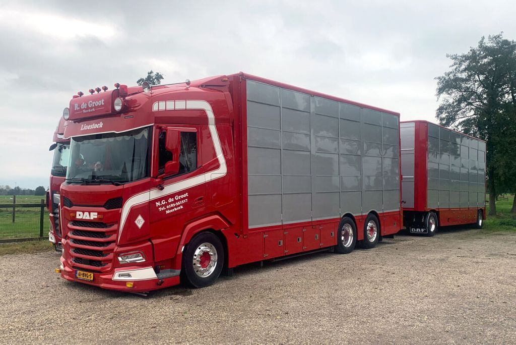 n-g-de-groot-daf-xf-sh-without-sky-lig