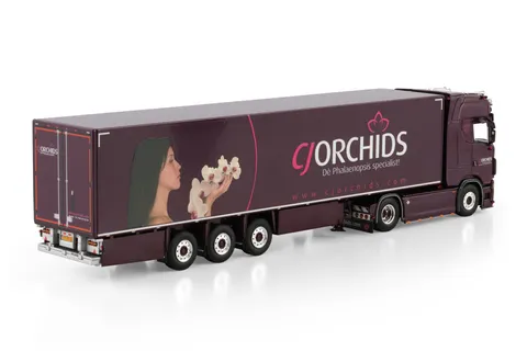 cj-orchids-scania-s-highline-cs20h-4x2 (1)