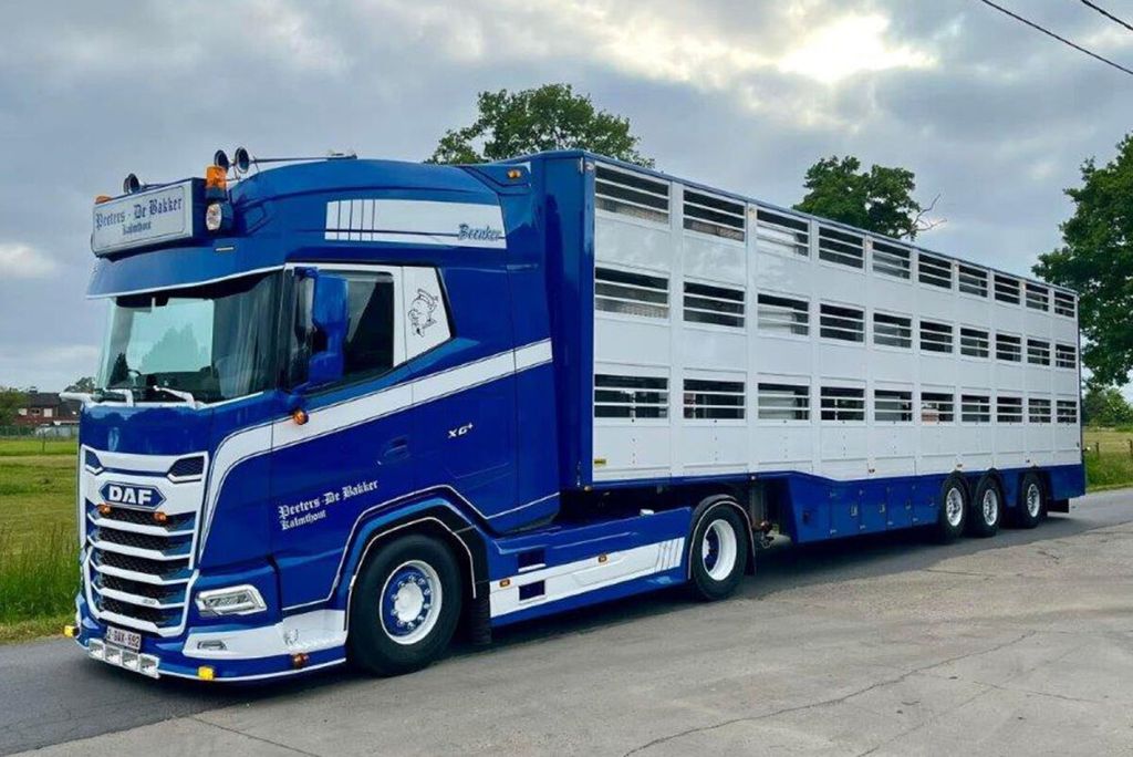peeters-de-bakker-daf-xg-my25-4x2-live