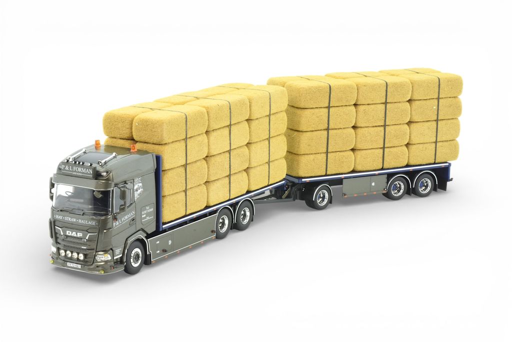 89057 - Mod 241146Hb  P&L Forman - 1 - HR