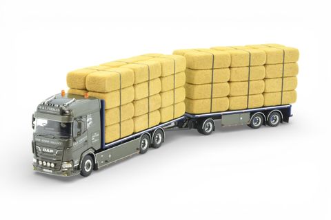 89057 - Mod 241146Hb  P&L Forman - 1 - HR