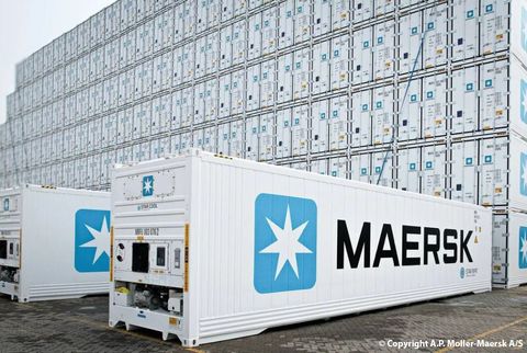 91018 - MAERSK 40FT. REEFER CONTAINER (2)