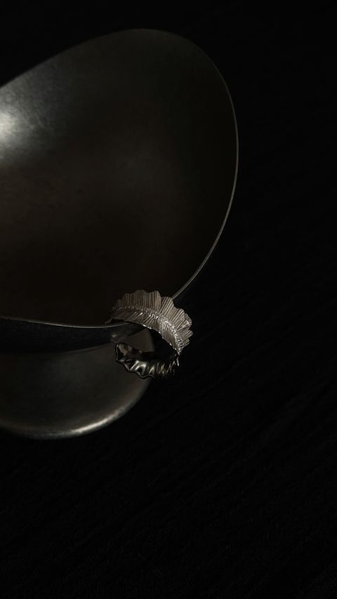 image_203FCAD8-8859-4D89-90A2-2F6975D87057_1776163820