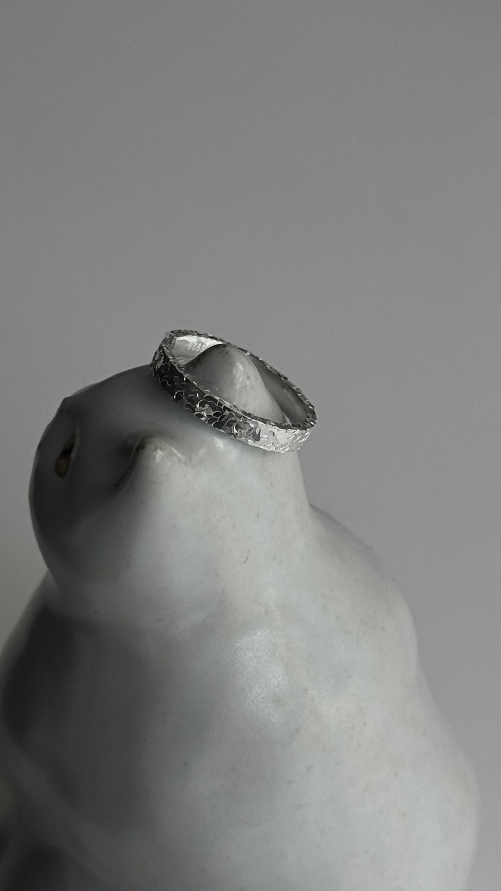 image_1C8F0657-04AD-43CE-93A4-3FF27DE643B3_1776164183