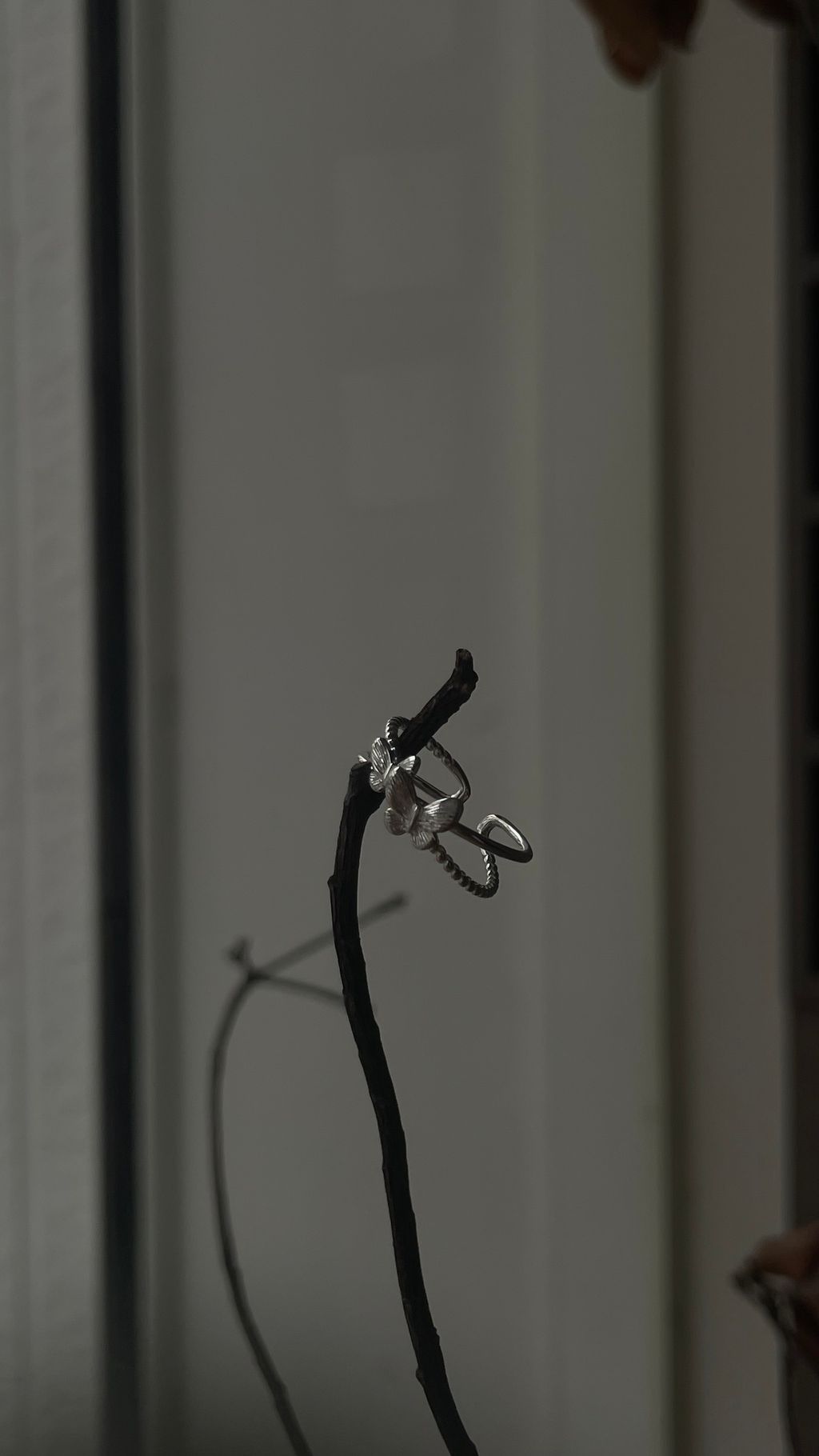 image_B3F32B8B-29DB-4B3E-9F49-178B6094E0C4_1776337203