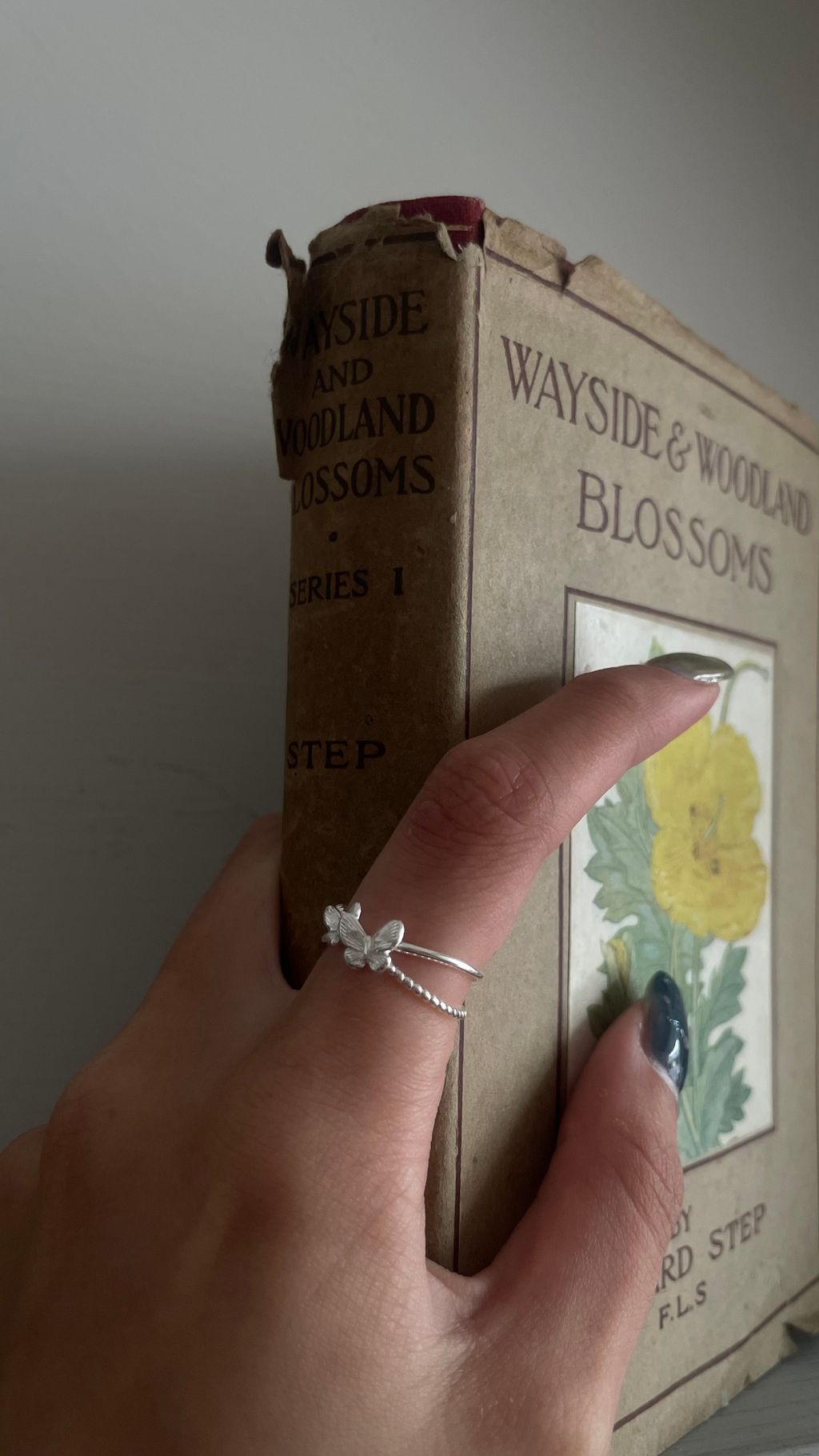 image_9A135656-F224-467D-8DB6-95CC850EB174_1776337203