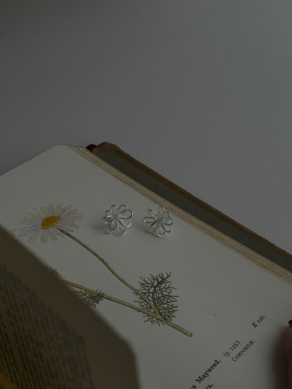 image_7AF85F86-1A1A-4581-8D4B-D7540F451AEF_1777649668
