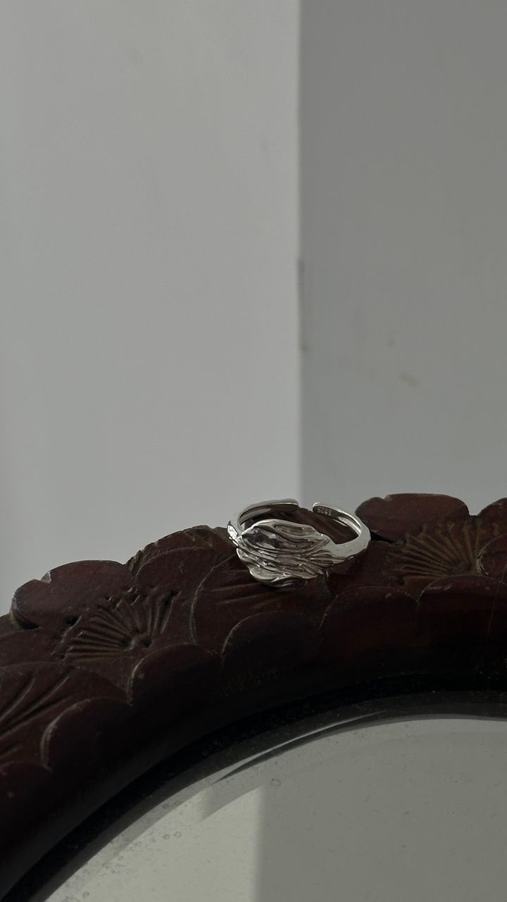 image_8D973C73-F9F2-44CC-8C2C-6FAB20CD75DF_1789023732