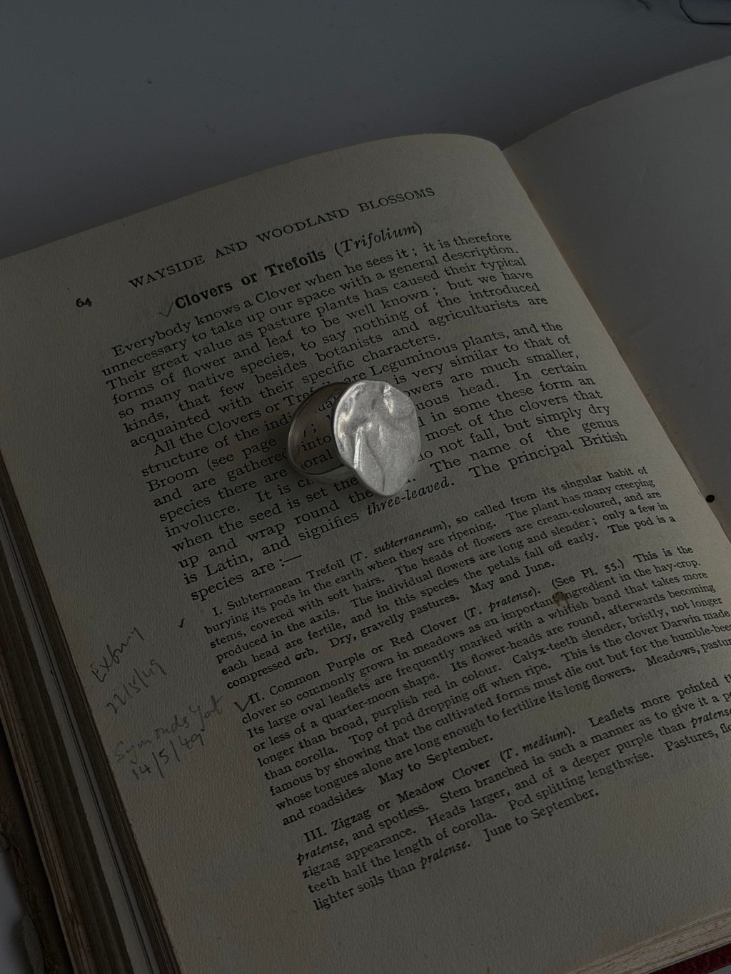 image_D4A4B2D1-3547-46C6-A225-6F0346373CD9_1792307949