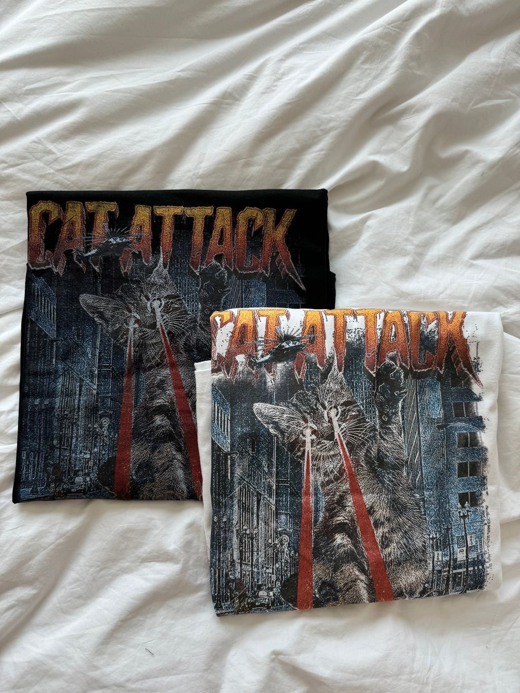 IMG_9205-1729089209348