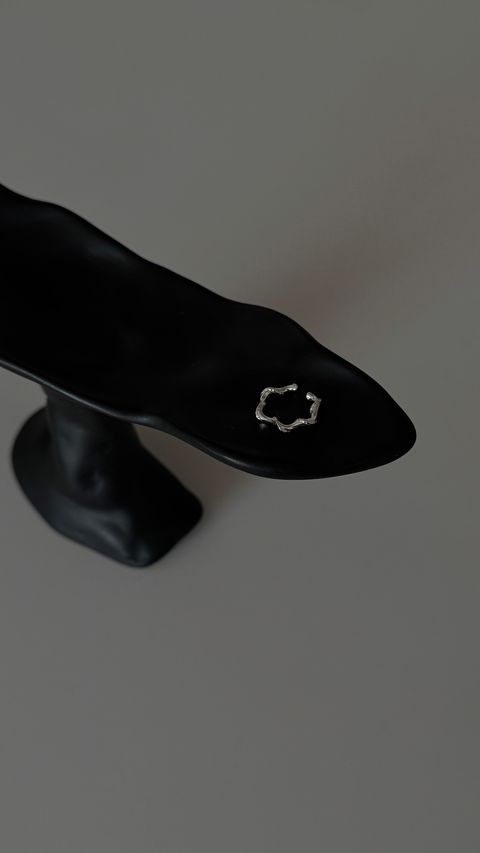 image_4ED6580A-8C5E-4568-9989-F8D605233BD9_1761476266