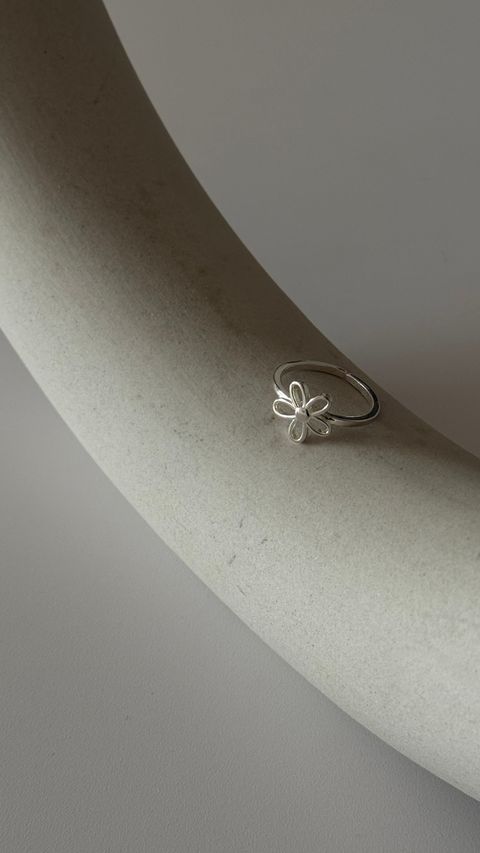 image_56B67E81-CE3F-4FA4-8316-432F6FE9B078_1762347588