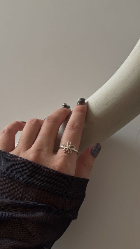 image_117E621D-17DA-4B6E-9CFC-C4C9EEAAB979_1762347588