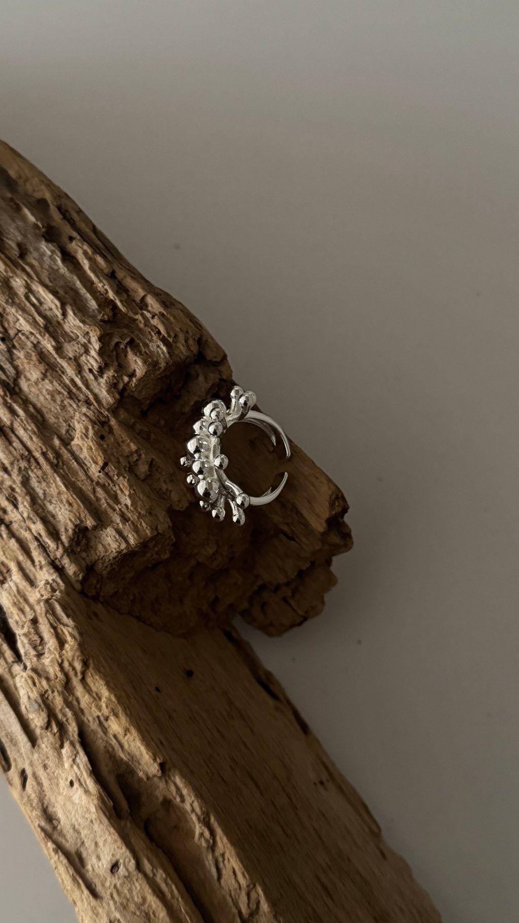 image_7E1BABC2-1572-4510-B0A1-48AE47F1C249_1765625899